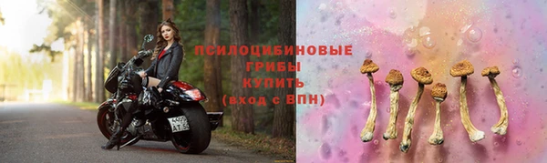 дурь Вяземский