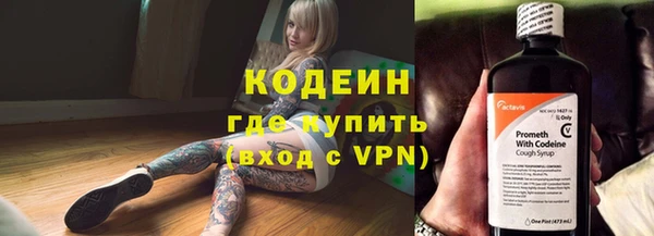 дурь Вяземский