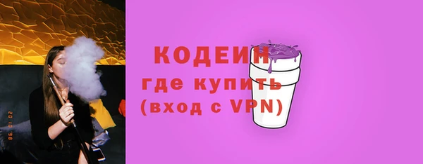 дурь Вяземский