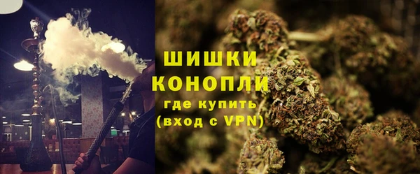 дурь Вяземский