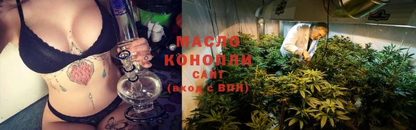 дурь Вяземский